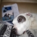Garrys dog KO liked reading Jeffs book.JPG